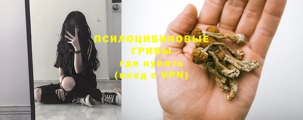 apvp Алексеевка