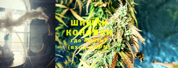 шишки Абинск